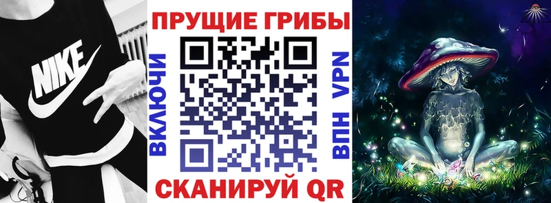 Галлюциногенные грибы Psilocybine cubensis  Купить закладки  Мыски 